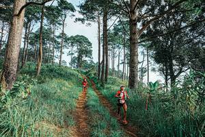 BIB: 
                            <button type="button" onclick="openModal(25652490)" class="btn btn-primary btn-sm float-right btn-popup" data-toggle="modal" data-target=".modal-high-quality">
                        <i class="fas fa-shopping-cart"></i> Add to Cart
                    </button>
                                            <button type="button" onclick="isThisMe(25652490, true)" class="btn btn-success btn-sm float-right btn-popup btn-isme hidden" data-toggle="tooltip" data-placement="bottom" title="นี่คือรูปของคุณใช่ไหม คลิกที่นี่เพื่อเอาเข้าอัลบั้ม">
                        <i class="fas fa-plus"></i> Add to album
                    </button>
                    <button type="button" onclick="isThisMe(25652490, false)" class="btn btn-warning btn-sm float-right btn-popup btn-isnotme hidden">
                        <i class="fas fa-ban"></i> Remove from album
                    </button>